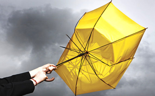 ঝড়ে ছাতাসহ উড়ে গেলেন ব্যক্তিটি!