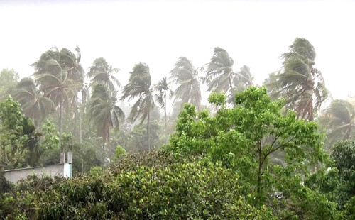 ঝড় ও বজ্রবৃষ্টির আভাস, নদীবন্দরে সতর্কতা 