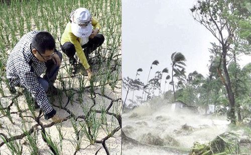 জলবায়ু পরিবর্তন: দেশে প্রতি ৩ শিশুর ১ জন ক্ষতির শিকার 