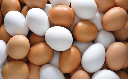 ডিমের দাম বেড়েছে ডজনপ্রতি ২৫ টাকা 