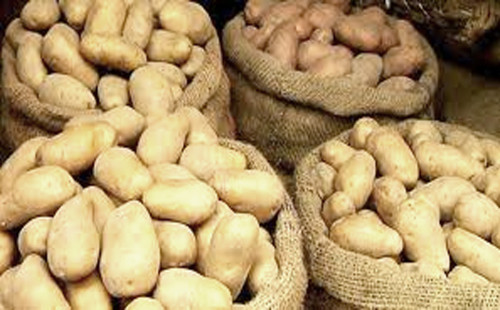 মজুতদারিতে বাড়ছে আলুর দাম 