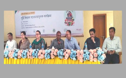 মিরসরাইয়ে পুষ্টি বিষয়ক সচেতনতামূলক কার্যক্রম 