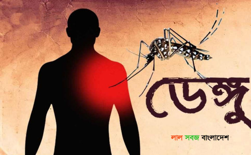 ডেঙ্গু আক্রান্ত হয়ে ২৪ ঘণ্টায় ৩ জনের মৃত্যু