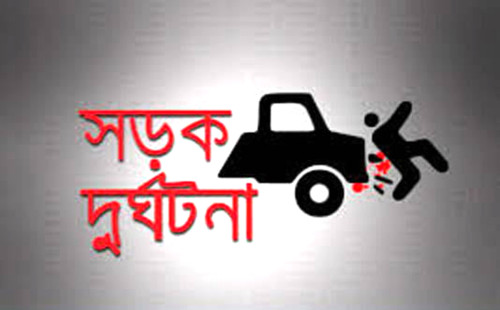 শেরপুরে ইজি বাইকের ধাক্কায় বৃদ্ধা নিহত