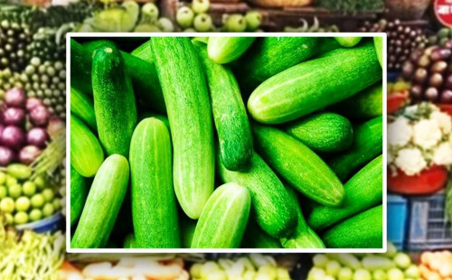 ৮ টাকা কেজির শসা যেভাবে হয়ে যায় ৪০ টাকা 