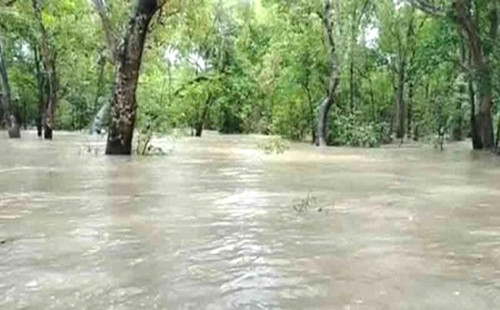 ঘূর্ণিঝড় রিমাল: জলোচ্ছ্বাসে তলিয়ে গেছে সুন্দরবন 