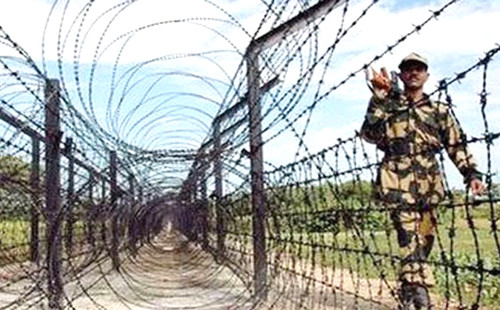 মেহেরপুরে ভারতীয় সীমান্তে কৃষককে নির্যাতন বিএসএফ'র 