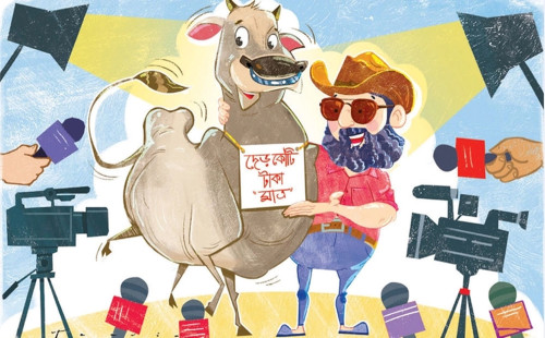 অবৈধ ব্রাহামা জাতের তিনটি গরু দুই কোটি ৬০ লাখে বিক্রি 