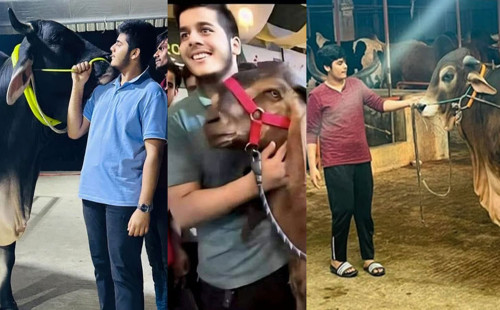 ছাগলকাণ্ড থেকে মুক্তি চান ইফাত 