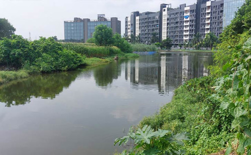 কলকাতায় জলাশয়ে বাংলাদেশি যুবকের লাশ 