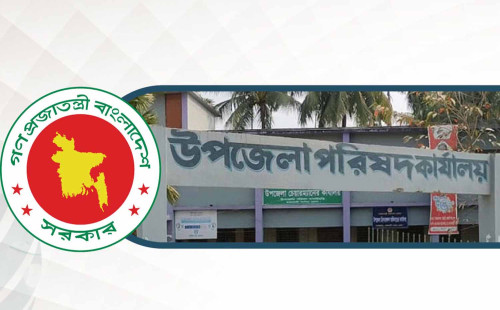 এবার অপসারণ করা হলো ৯৮৮ উপজেলা ভাইস চেয়ারম্যানকে 