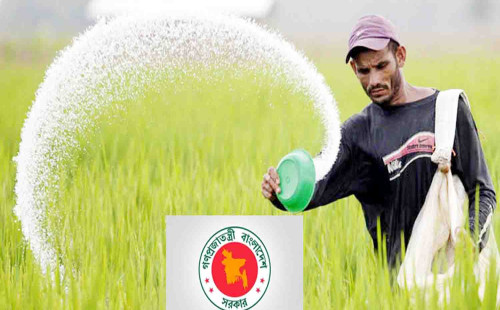৯০ হাজার টন ইউরিয়া সার কিনবে সরকার 