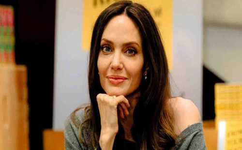 সাবেক প্রেমিক শিল্পী হতে দেননি জোলিকে 