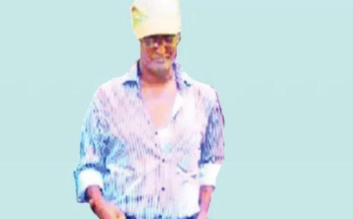 জামিনে মুক্ত সুইডেন আসলাম