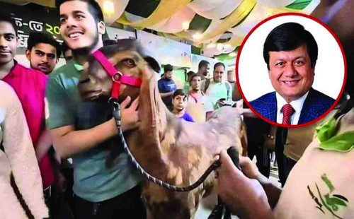 ছাগলকাণ্ডের মতিউরের কারখানা লে-অফ ঘোষণা 