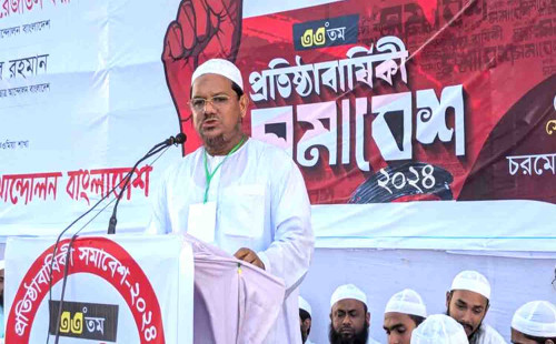 ছাত্ররা রাষ্ট্র সংস্কারে ব্যস্ত, পতিত গোষ্ঠী দখলদারিতে: চরমোনাই পীর