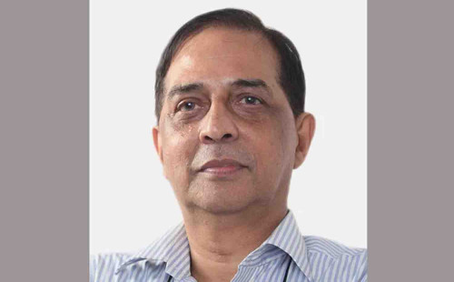 সংবিধান সংস্কারের উদ্যোগ, কমিশনের দায়িত্বে শাহদীন মালিক 