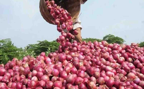 পেঁয়াজ রপ্তানিতে শুল্ক প্রত্যাহার করলো ভারত 