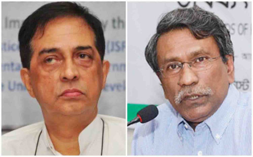 শাহদীন মালিক বাদ, সংবিধান সংস্কারের দায়িত্বে অধ্যাপক আলী রীয়াজ 