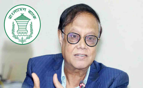 একীভূত হতে পারে সংকটে থাকা ছোট ব্যাংকগুলো: গভর্নর 