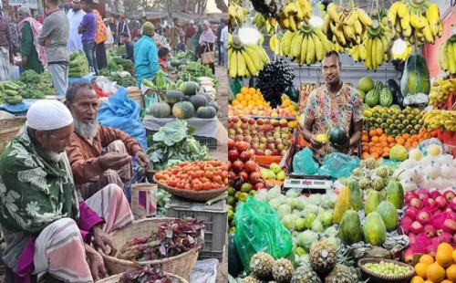 লালশাক ও কয়েকটি সবজিতে ক্ষতিকর ভারী ধাতু, ফলমূলে কীটনাশক 