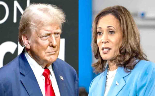 ভোটারদের মন জয় করতে দুই প্রার্থীর ভিন্ন প্রচারণা পদ্ধতি