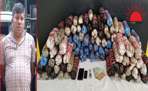 মিরসরাইয়ে ৬৩ কেজি গাঁজাসহ এক মাদক ব্যবসায়ী গ্রেফতার