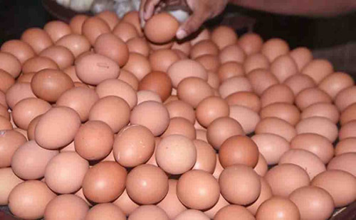 সরকার ডিমের নতুন দাম নির্ধারণ: কাল থেকে কার্যকর