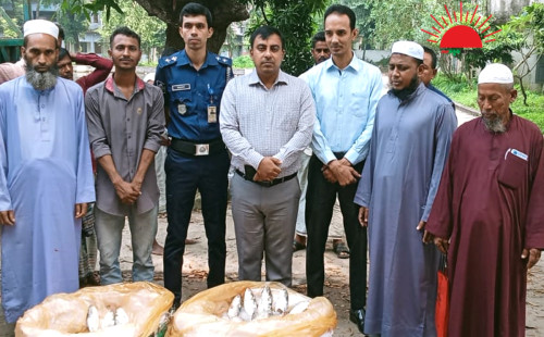 মিরসরাইয়ে অভিযান: ৬০ কেজি ঝাটকা জব্দ, ২ জেলে আটক